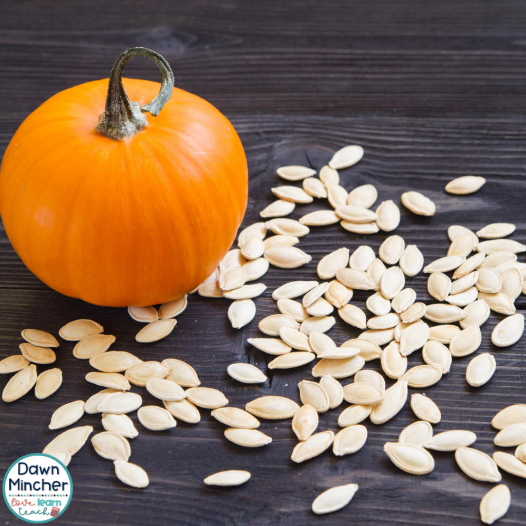 Not every October math activity needs a printable or special resource. A pumpkin can become an easy estimation activity with almost no planning.